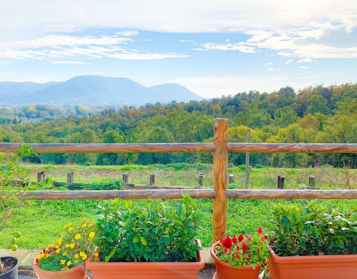 Villino Al Dotto Country House Lucques Extérieur photo